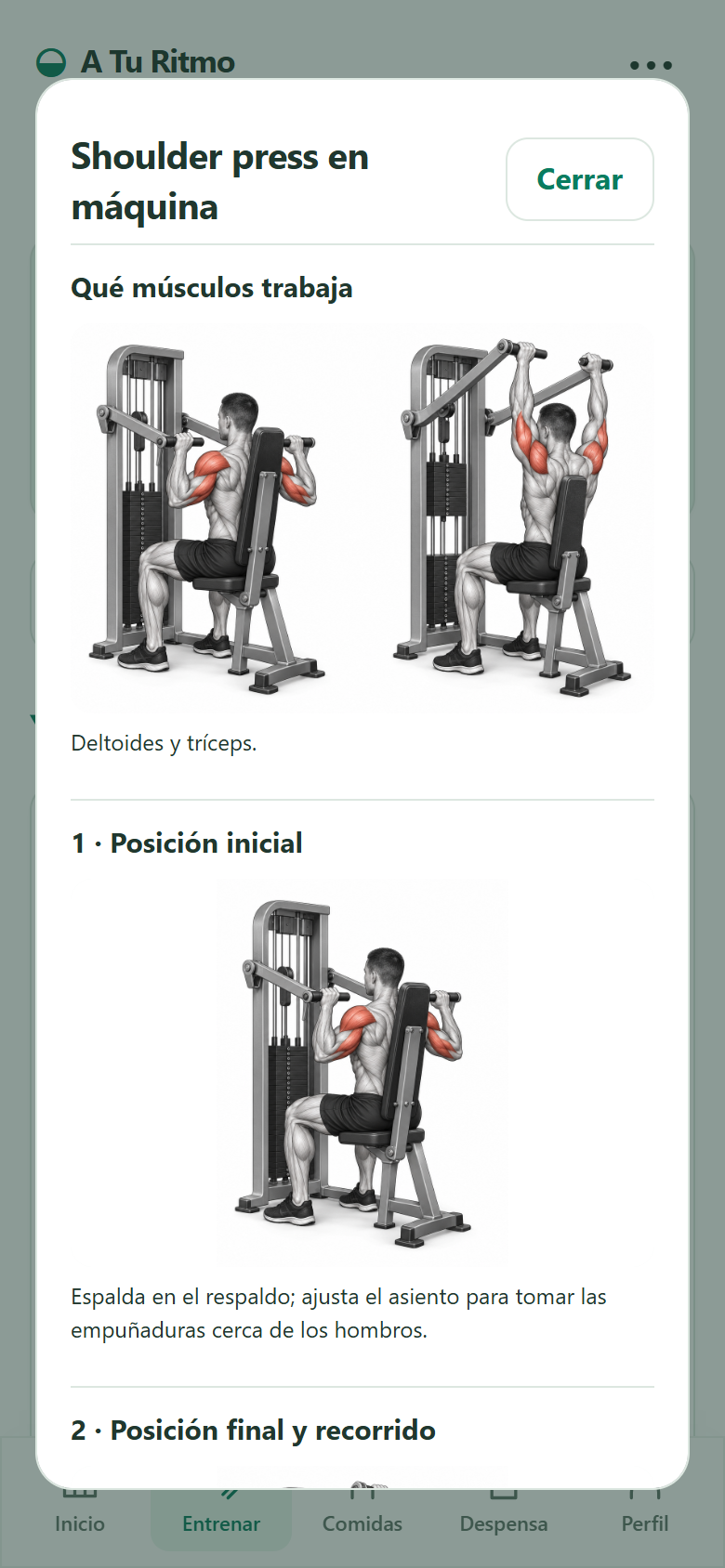 Guía de shoulder press: músculos trabajados y posición inicial
